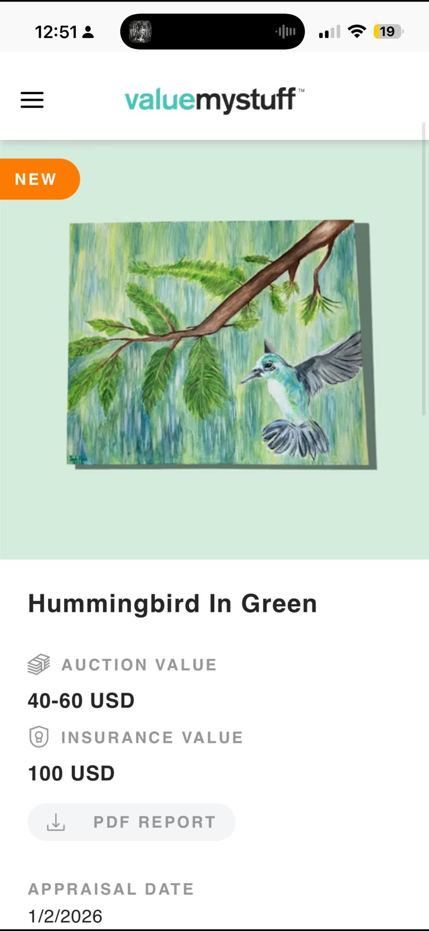 Humming Bird In Green