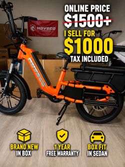 Family electric bike - family cargo e-bike