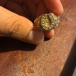 Nugget Ring Mixed With A Horseshoe