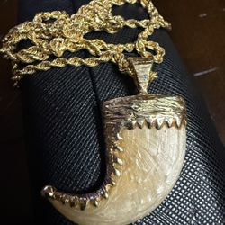 Tigers Tooth Pendant With Chain