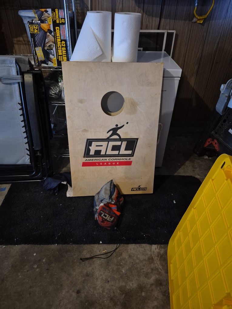 Portable Bags (Cornhole)