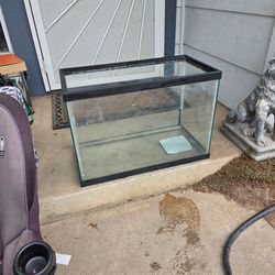 20 gallon tank!