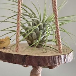 Small Hanging Airplant Holder With Bird