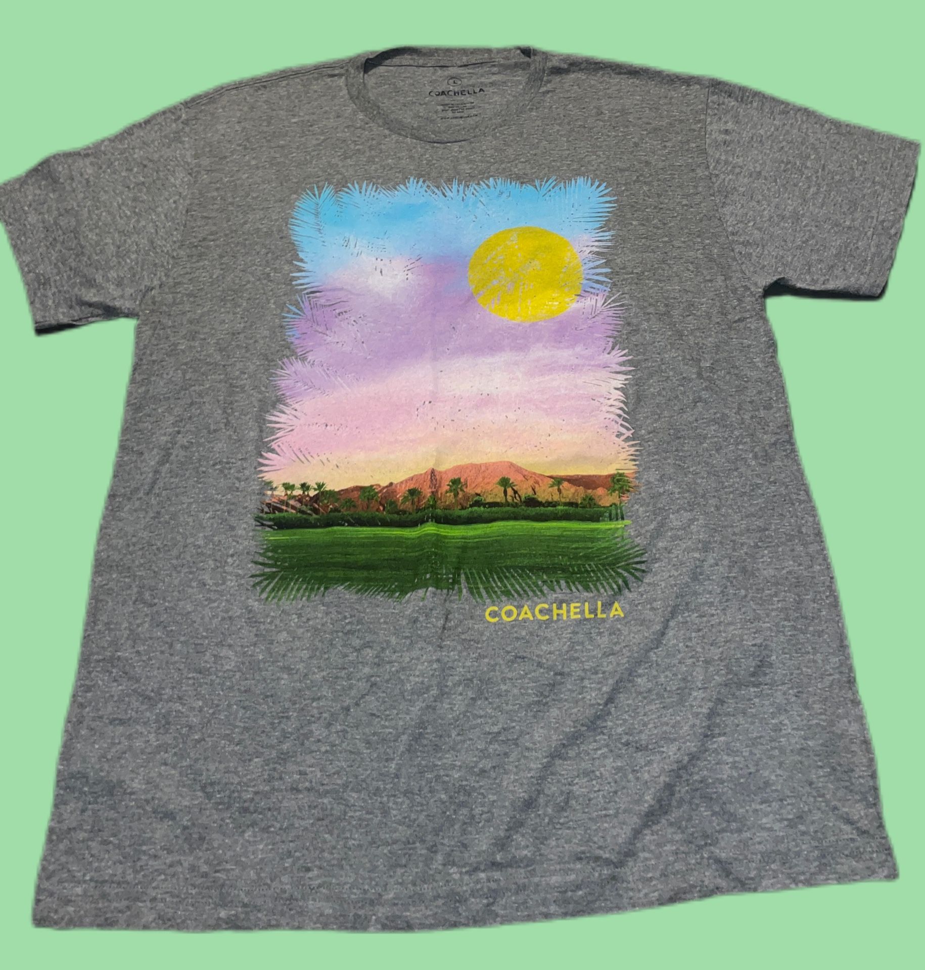 New Vintage Coachella Music Festival Merch Tee T Shirt Large AC/DC Jack White Drake Tame Impala The Weeknd Florence & The Machine Interpol 2015