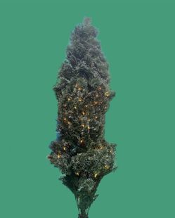 Martha Living 7.5FT Pre Lit Sparkling Pine tree