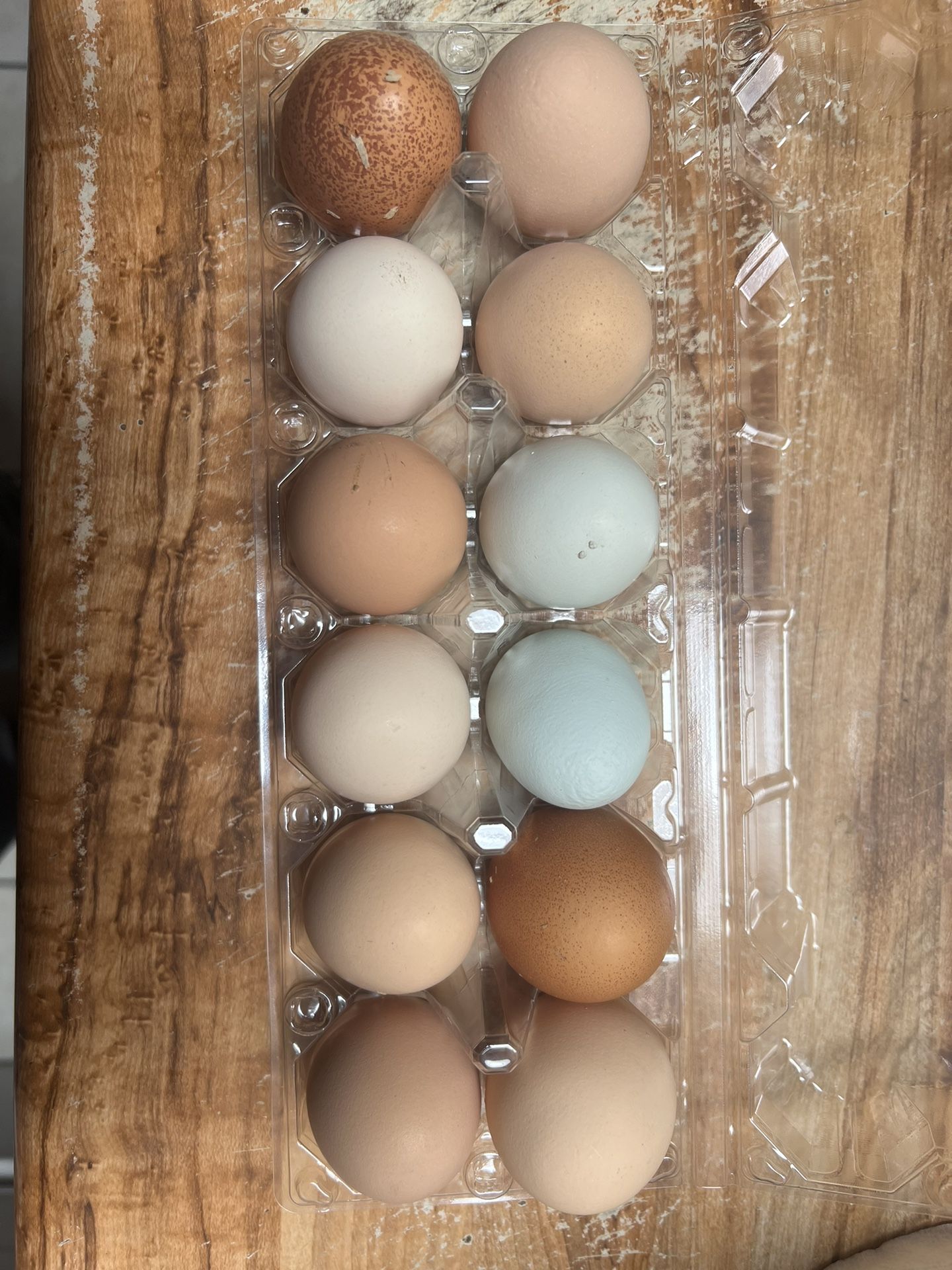 Fresh Organic Chicken Eggs