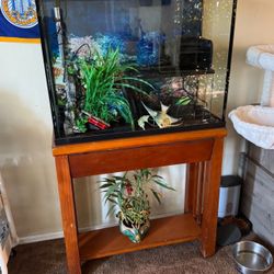 Fish tank With Stand 