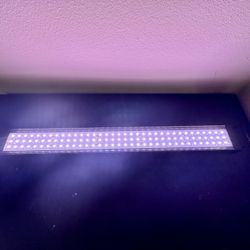 Hygger Planted aquarium light