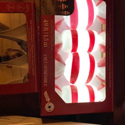 Indoor/outdoor Decor For Pathways Or Yard