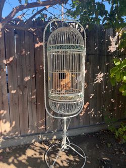 Bird cage