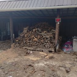 Seasoned Firewood