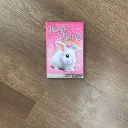 Magic Bunny Chocolate Wishes 