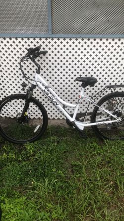 Electric bike