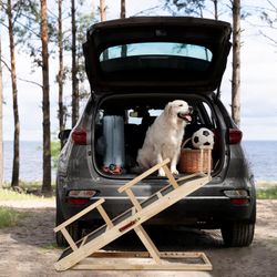 Adjustable Wooden Pet Ramp – For High Beds & Couches NEW | Sturdy Solid Wood | Easy Height Adjustments