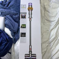 Dyson V15 Detect