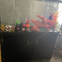 65 Gallon Fish Tank  Neon Decoration