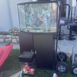 Fish tank