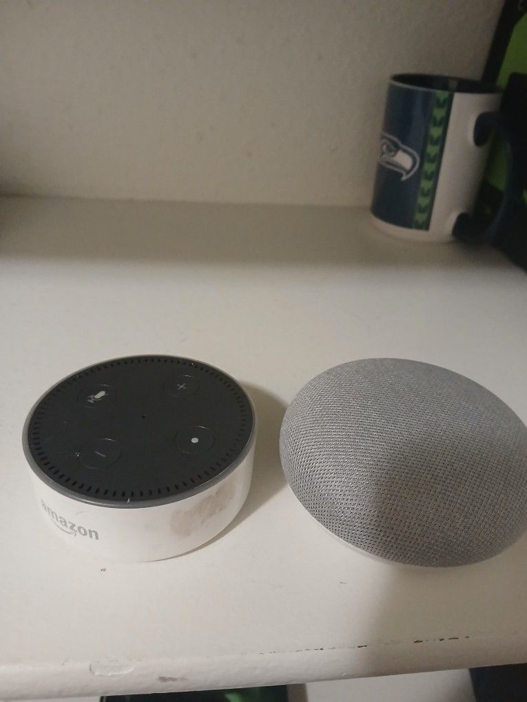 Amazon Alexa And Google Mini