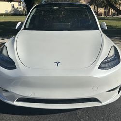 2021 Model Y Tesla 