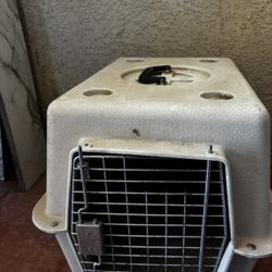 Pet Kennel