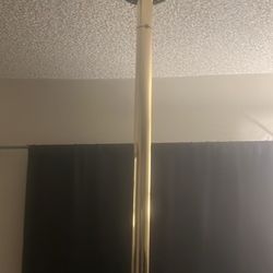 Striper Pole Led Lights 