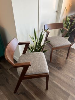 Article Zola Chairs 2 Volcanic Grey Hardwood Dining Chairs