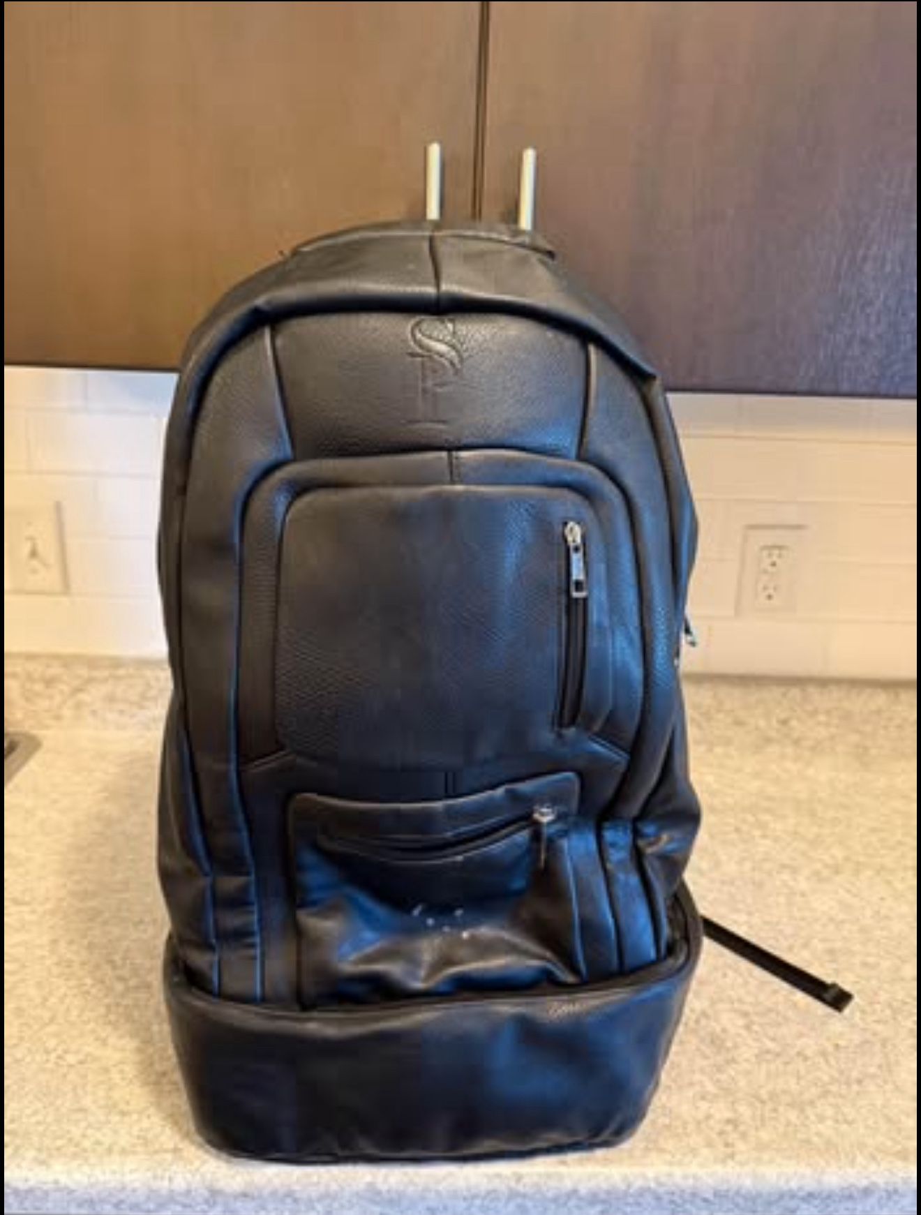 Sole Premise Carry Bag
