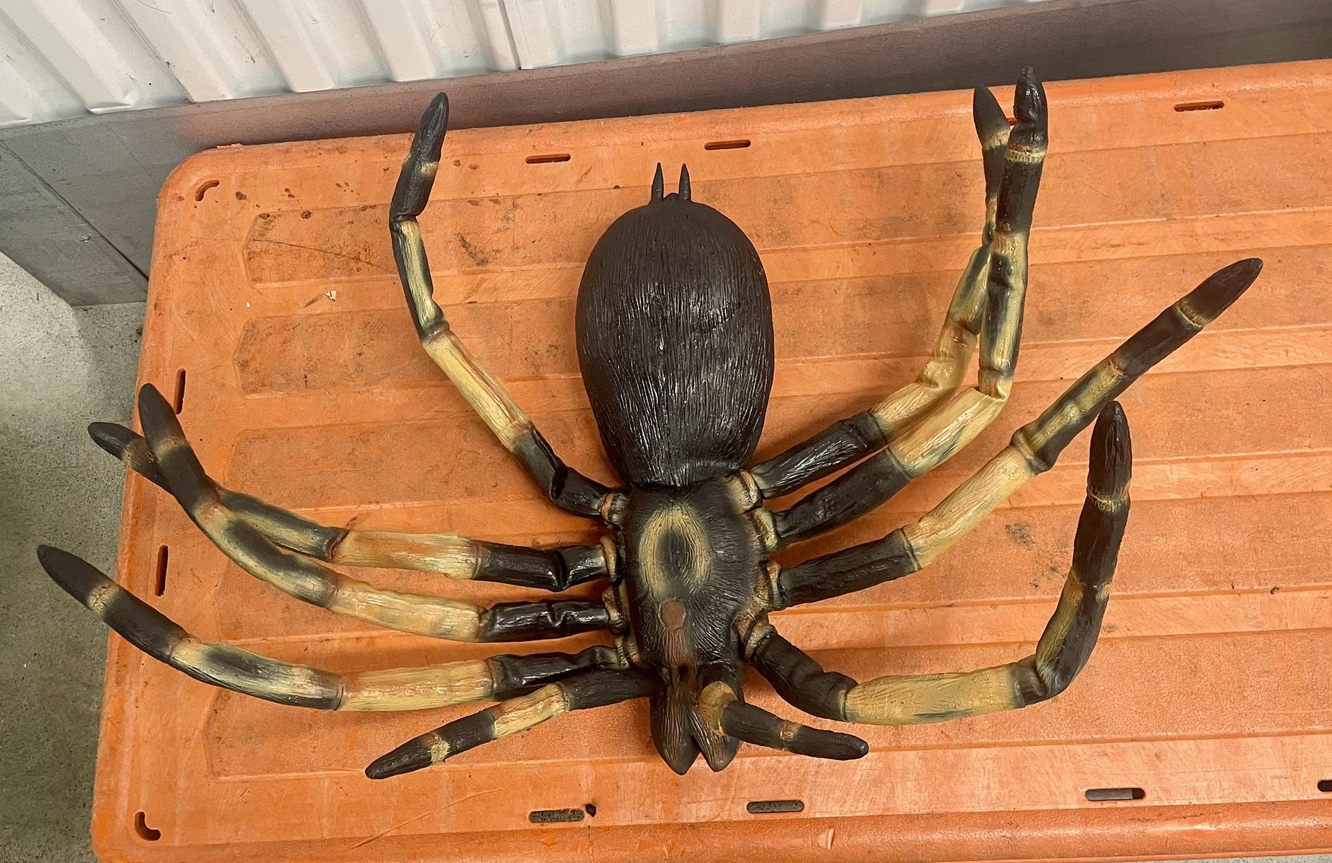 Giant Tarantula Spider-Halloween 