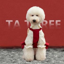 Dog Dress XL