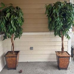 FAUX PLANT/ TREE