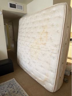 Free King Mattress