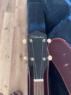 Silvertone Banjo