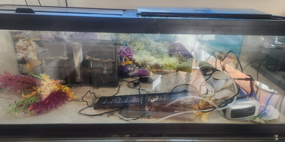 Fish Tank and Supplies