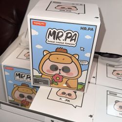 mr pa blind box