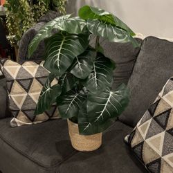 Threshold Faux Dasheen Plant 