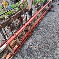 24ft Extension Ladder