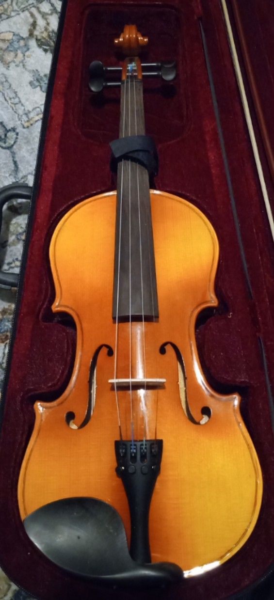 Violin