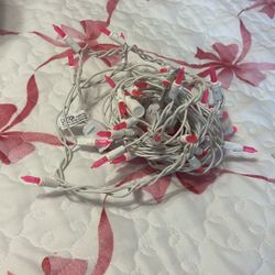 Pink Christmas Lights 