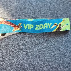 DayTrip VIP