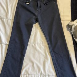 Banana Republic Traveler Pants