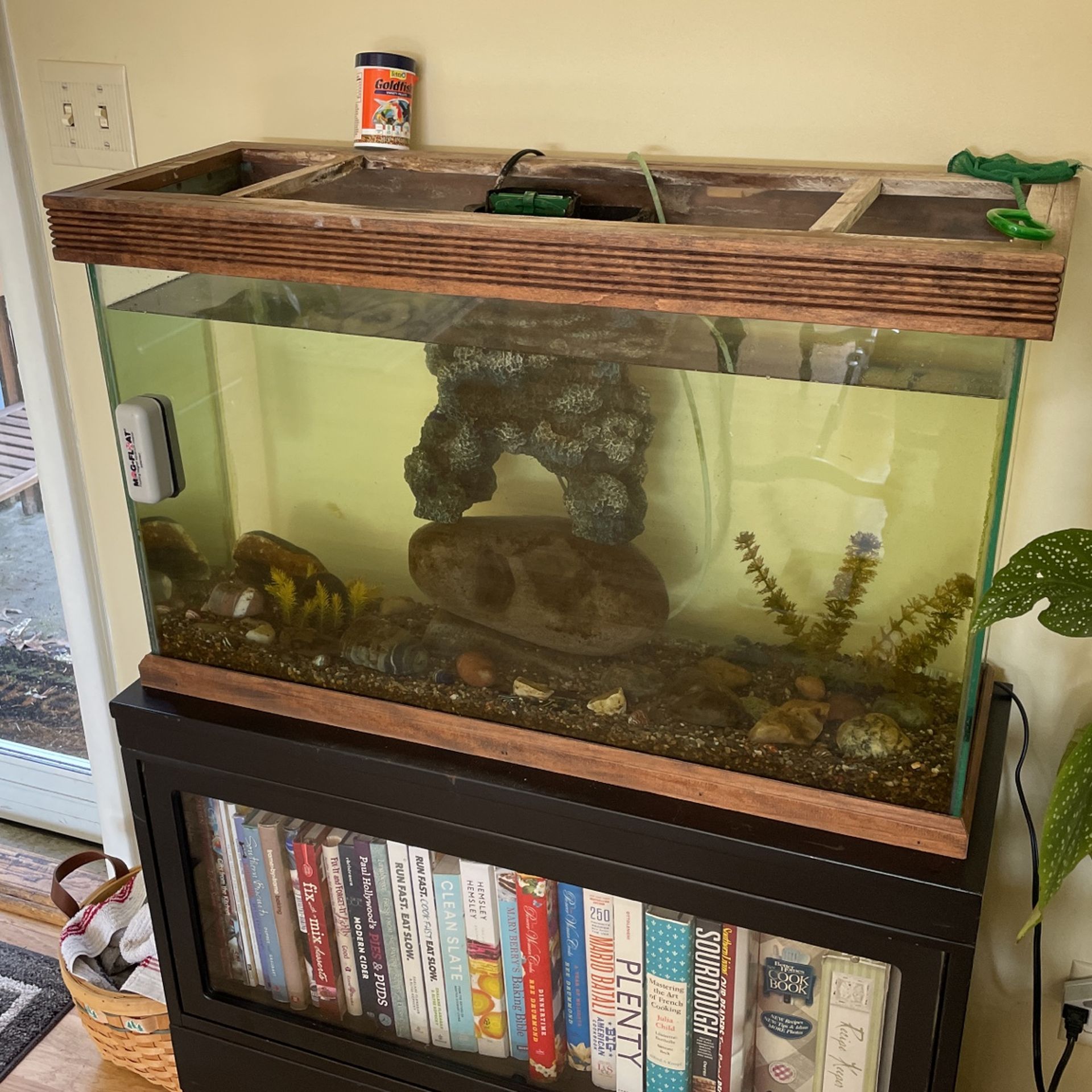 25 Gallon Fish Tank and All Supplies