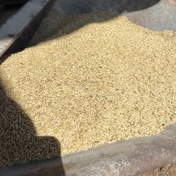 Farm. Horse, Goat  Feed Agriculture 