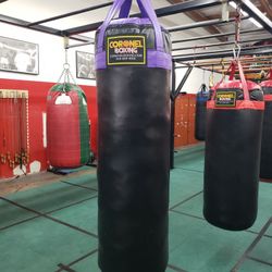 Punching Bag 