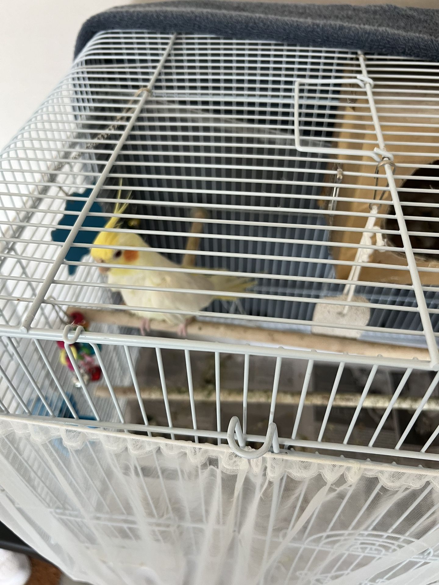Cakatiel Bird Cage