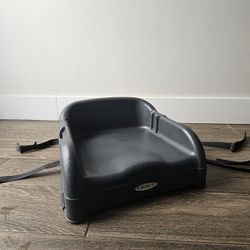 Graco Child's Dinner table Booster Seat