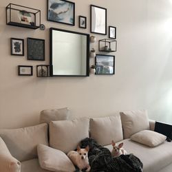 Performance linen Couch - Greige Color 