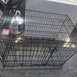 Cage Dog