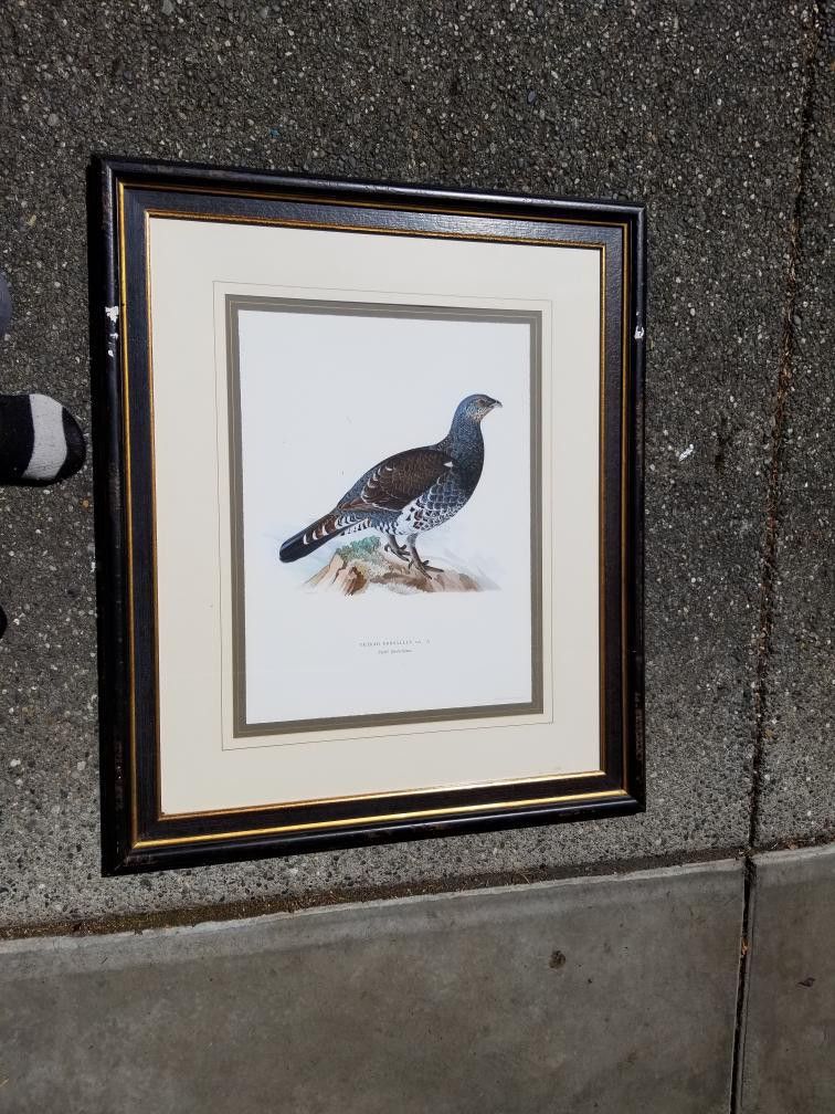 Bird Painting