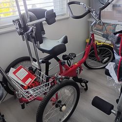 Amtryke Adaptive Tricycle