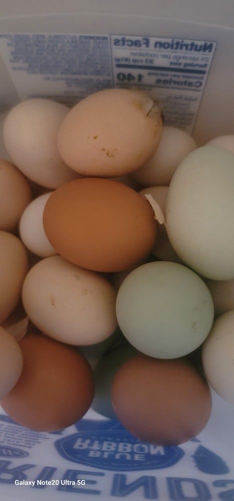 Vendo Guevos Horganicos $5 LA Docena